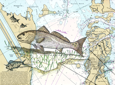 Backcountry Fishing Art - Redfish and Pinfish