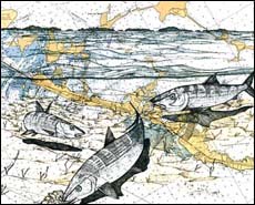 Bonefish Art - Bonefish Trio