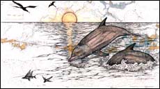 Florida Keys Art - Paradise