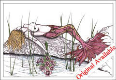 Mermaid Lily